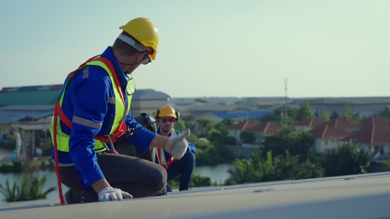 Best Roof Moss and Algae Removal  in Lumberton, NC